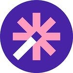 Vizard AI Logo